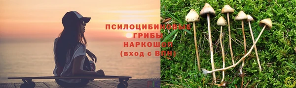 mix Касимов