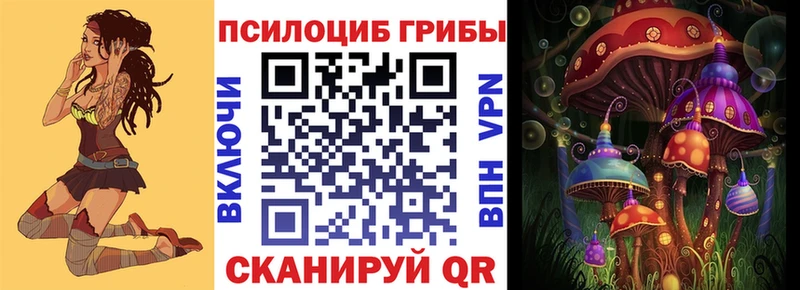 Галлюциногенные грибы MAGIC MUSHROOMS  где найти наркотики  Кисловодск 
